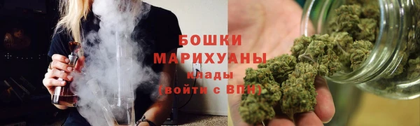 гашик Карпинск