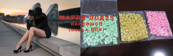 гашик Карпинск