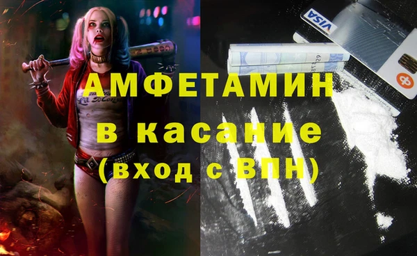 гашик Карпинск