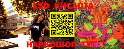 крисы Пенза