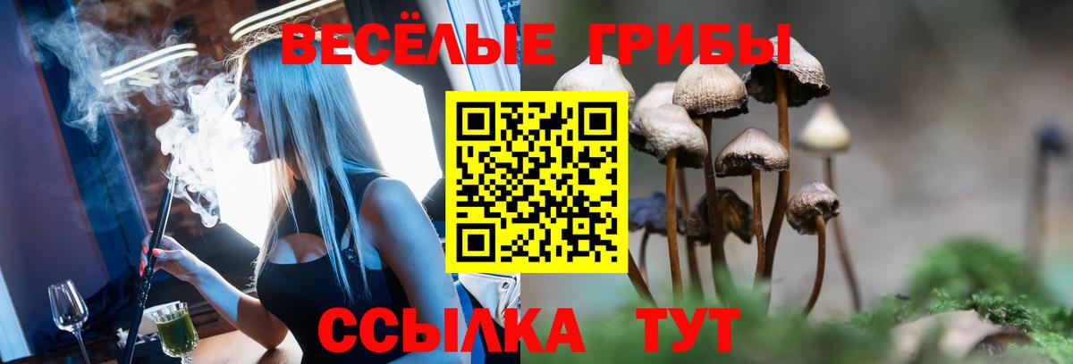 Галлюциногенные грибы GOLDEN TEACHER Сальск