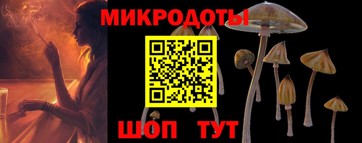 Сальск  Псилоцибиновые грибы ЛСД  Вход с VPN 