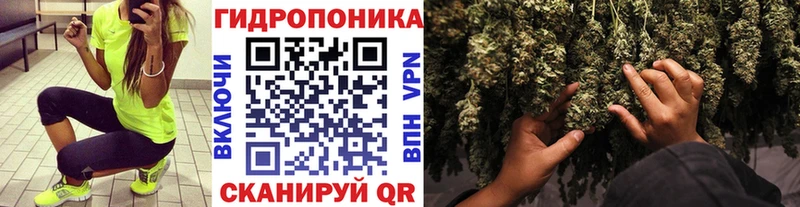 Конопля семена  Сальск 